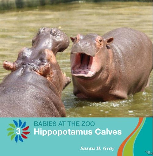 Hippopotamus Calves