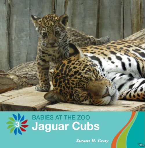 Jaguar Cubs