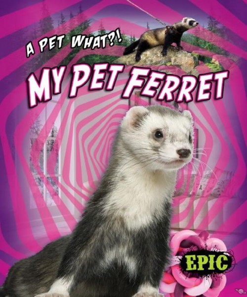 My Pet Ferret