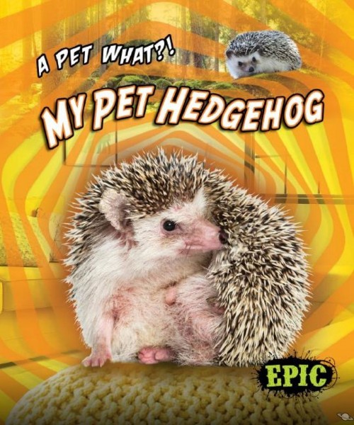 My Pet Hedgehog