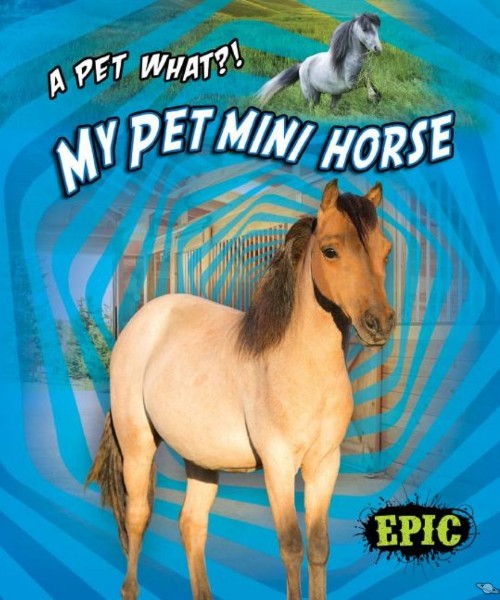 My Pet Mini Horse