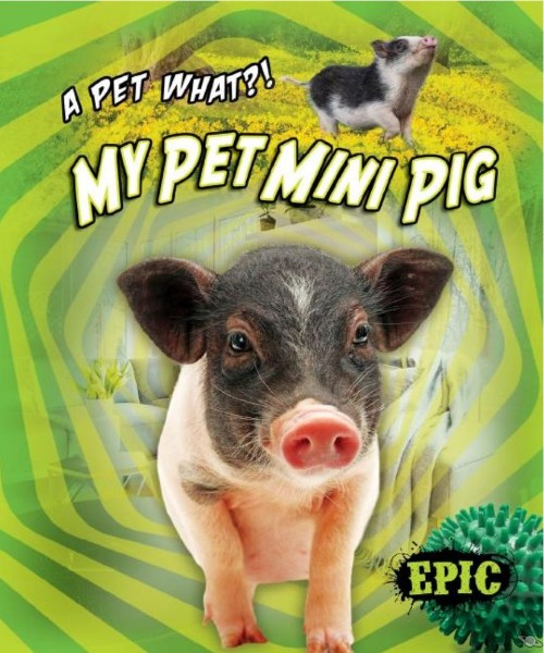 My Pet Mini Pig