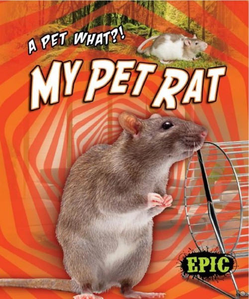 My Pet Rat