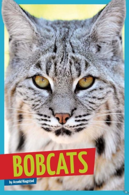 Bobcats