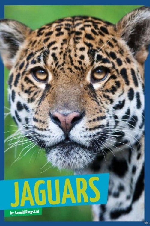 Jaguars