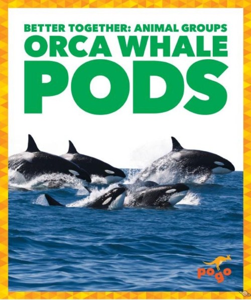 Orca Whale Pods