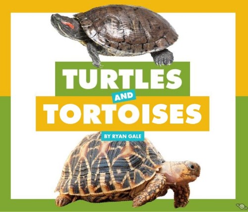 Turtles and Tortoises