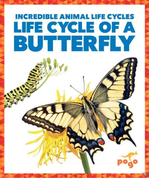 Life Cycle of a Butterfly