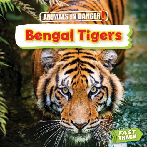 Bengal Tigers