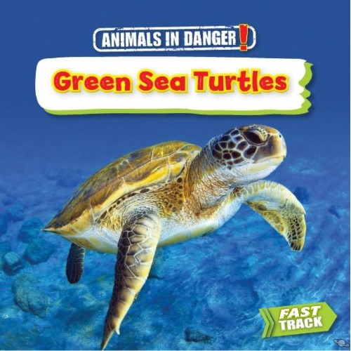 Green Sea Turtles