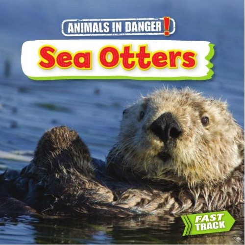 Sea Otters