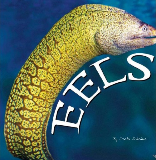 Eels