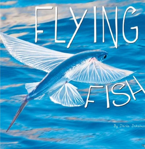 Flying Fish