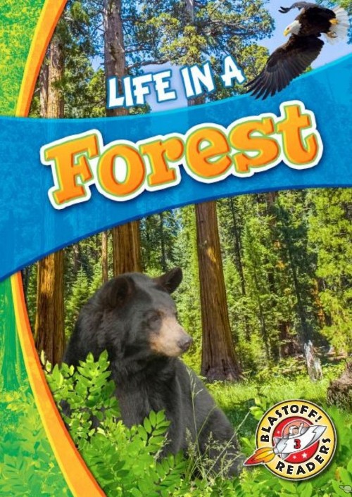 Life in a Forest