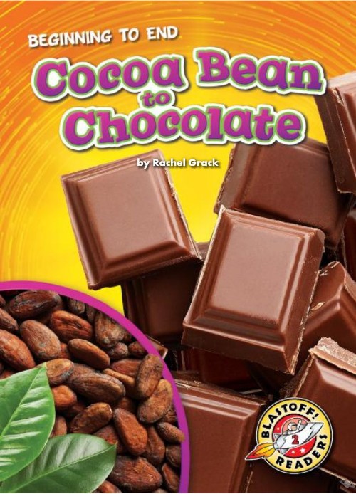 Cocoa Bean to Chocolate