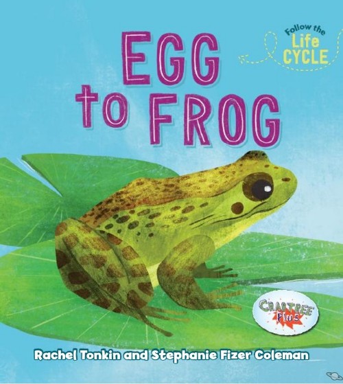 Egg to Frog