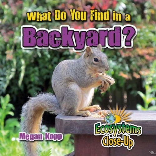 What Do You Find in a Backyard