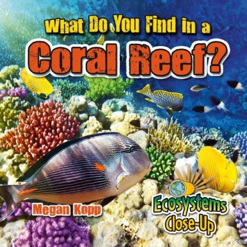 What Do You Find in a Coral Reef