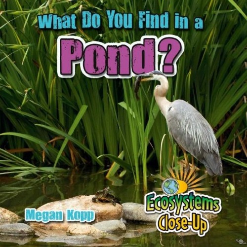 What Do You Find in a Pond