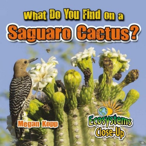 What Do You Find on a Saguaro Cactus