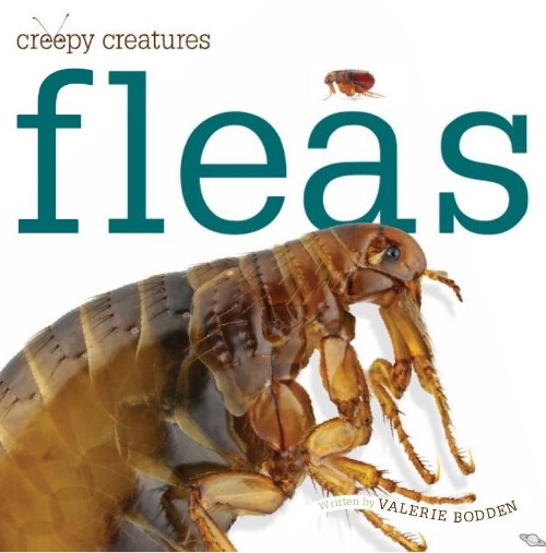 Fleas