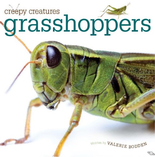 Grasshoppers