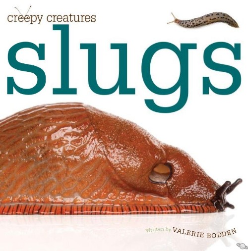 Slugs