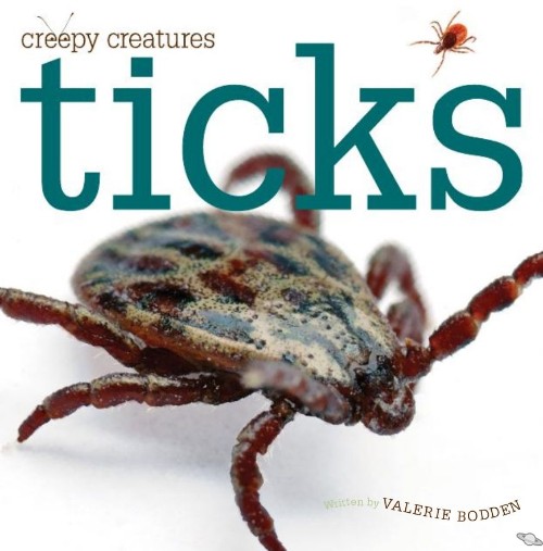 Ticks