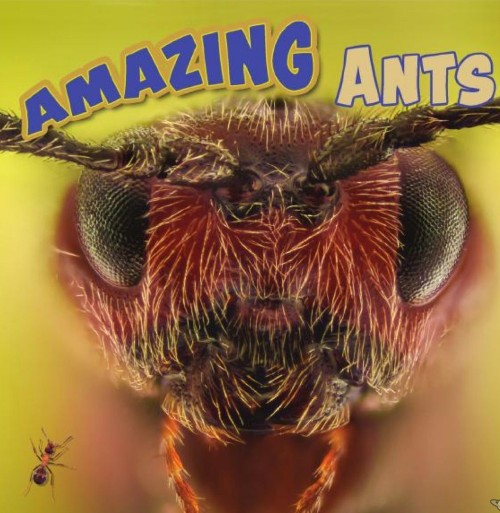 Amazing Ants