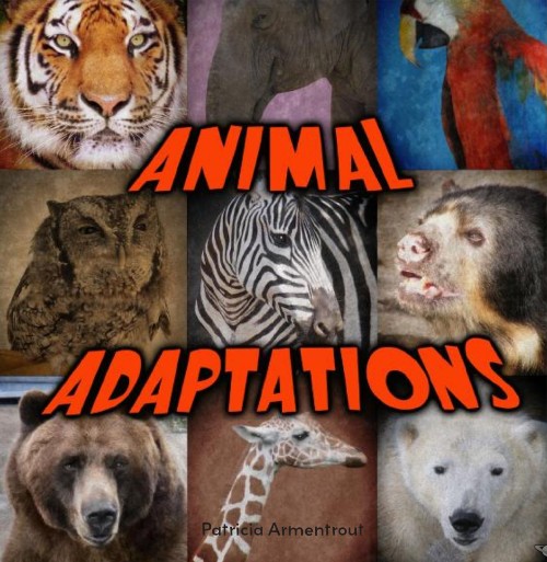 Animal Adaptations