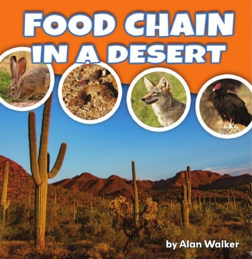 Food Chain In a Desert