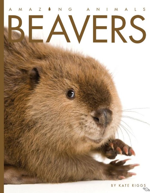 Beavers