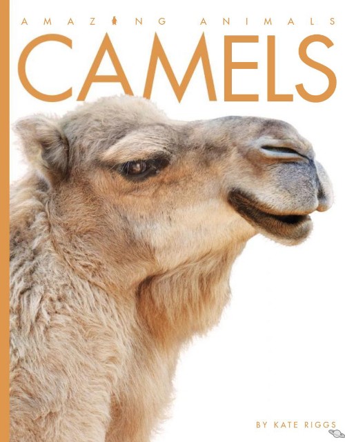 Camels