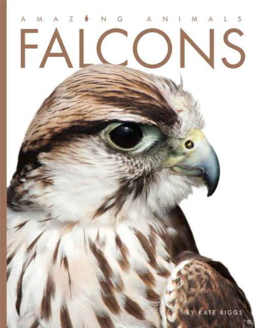 Falcons