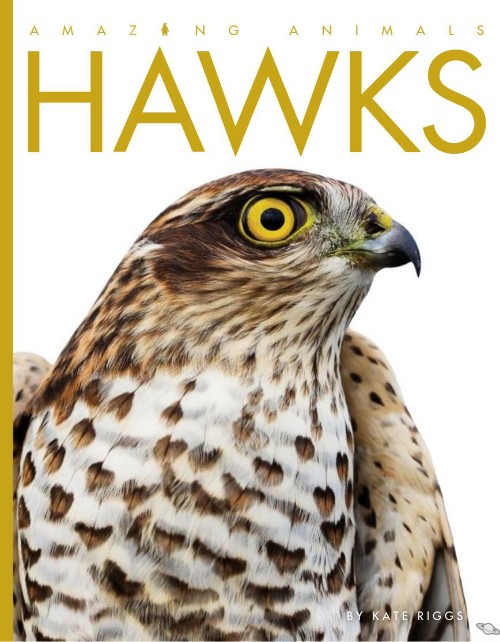 Hawks