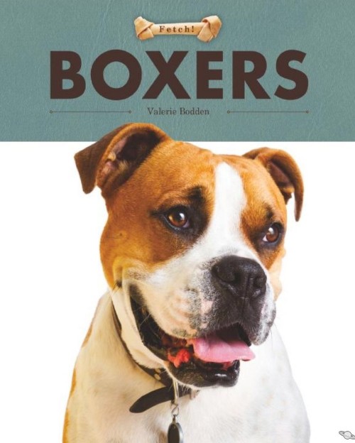 Boxers