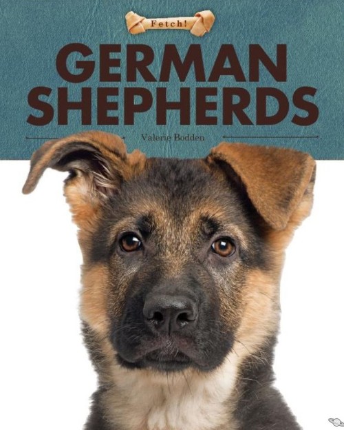 German Shepherds