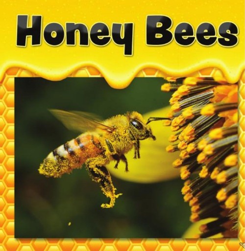 Honey Bees