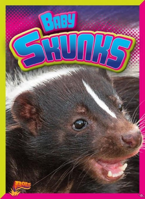 Baby Skunks