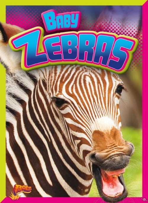 Baby Zebras