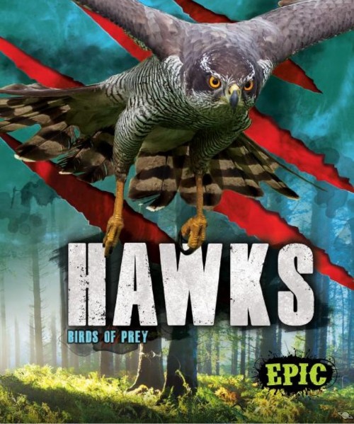 Hawks