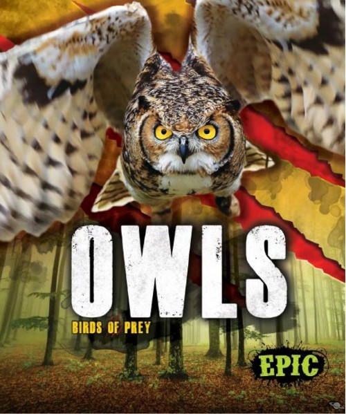 Owls