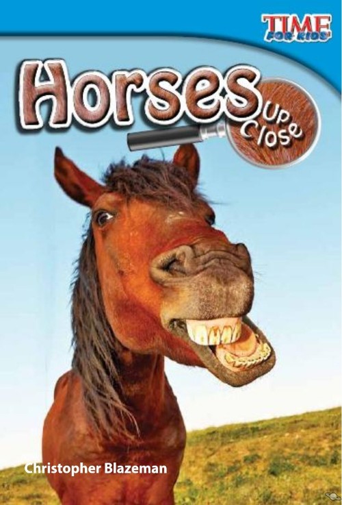 Horses Up Close