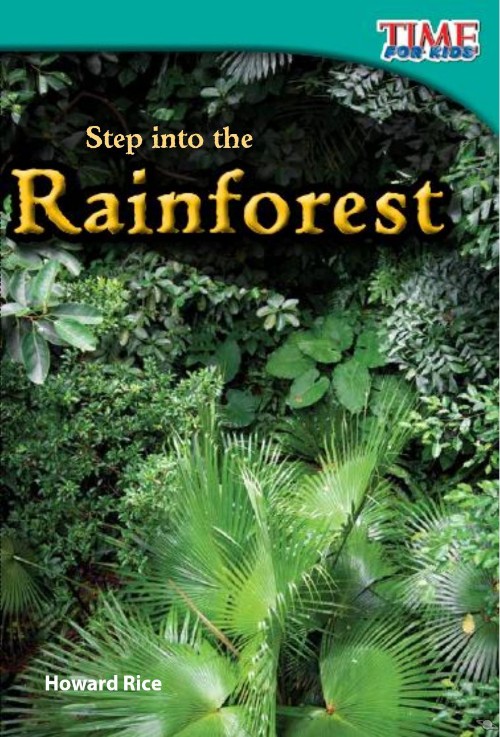 Step into the Rainforest