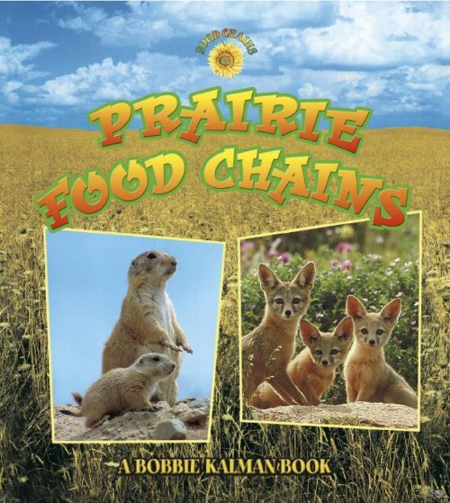 Prairie Food Chains