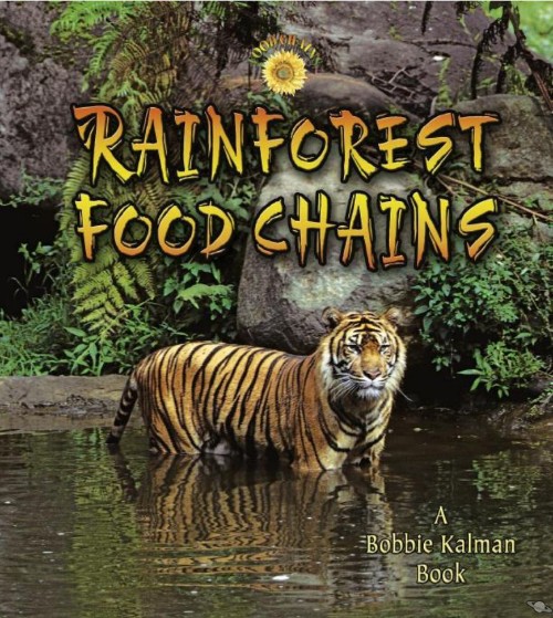 Rainforest Food Chains