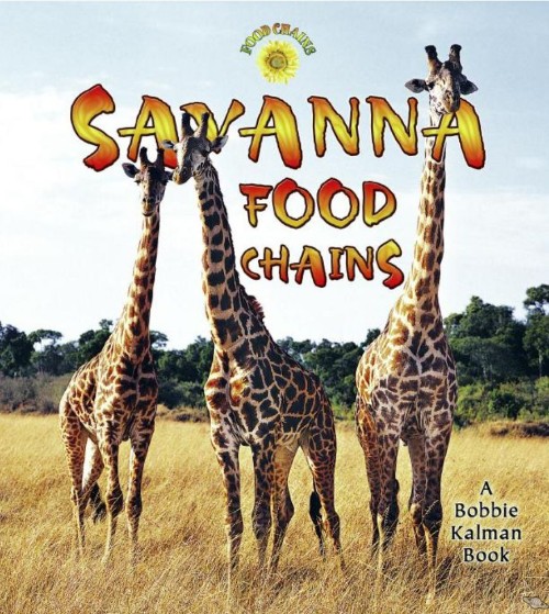 Savanna Food Chains