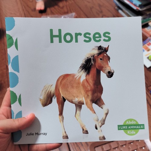 ABDO Kids Junior Level K Collection 1:Horses