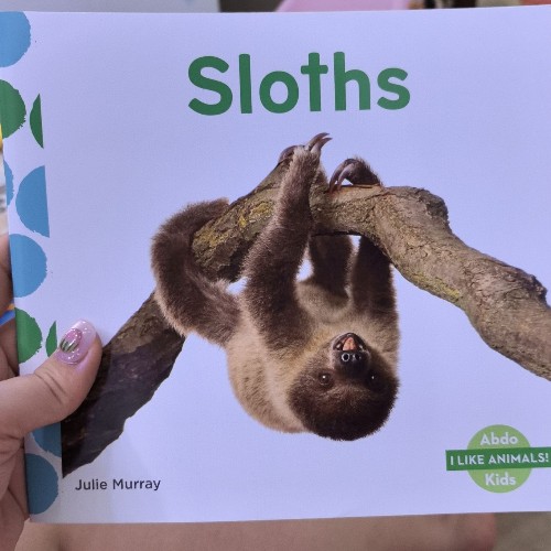 sloths