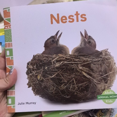 nests